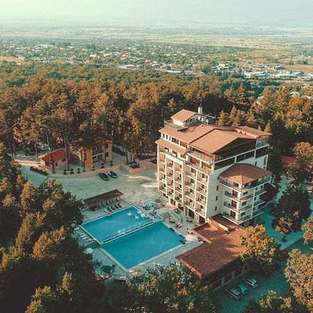 Zuzumbo Resort & Spa Telavi Exterior photo