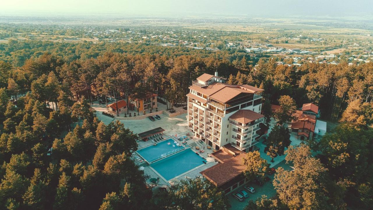 Zuzumbo Resort & Spa Telavi Exterior photo