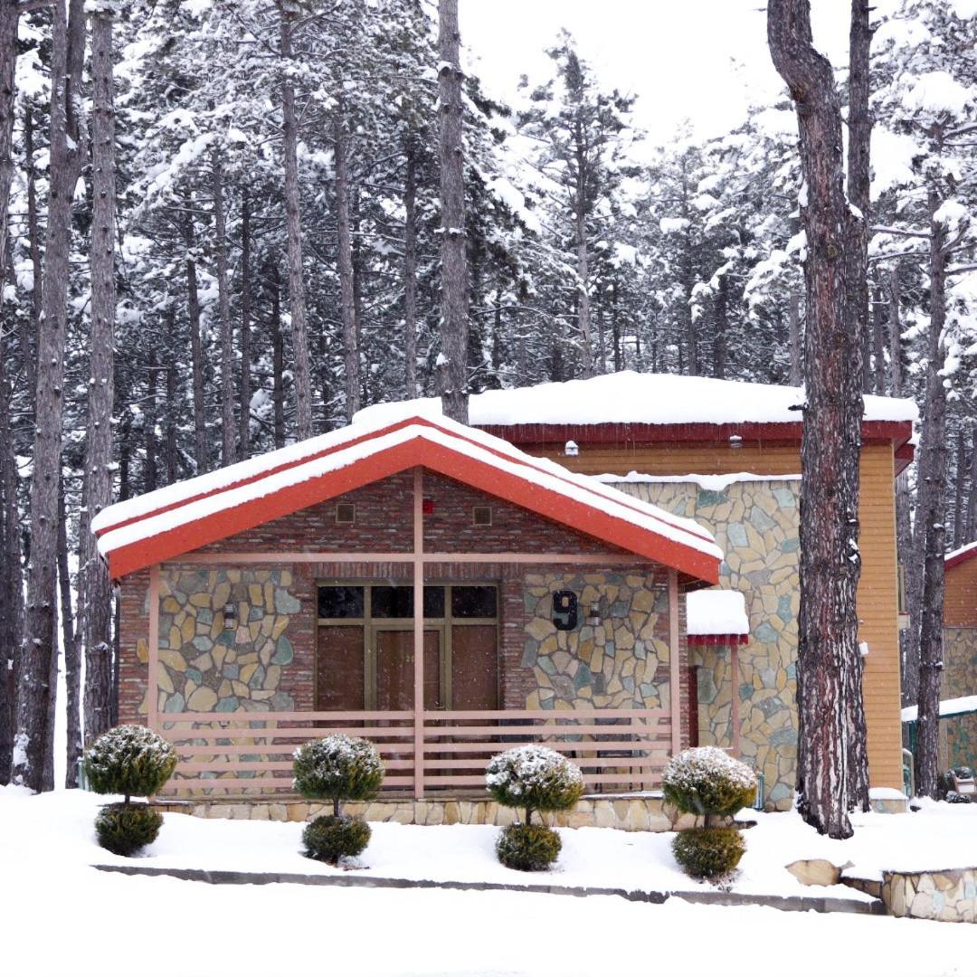 Zuzumbo Resort & Spa Telavi Exterior photo