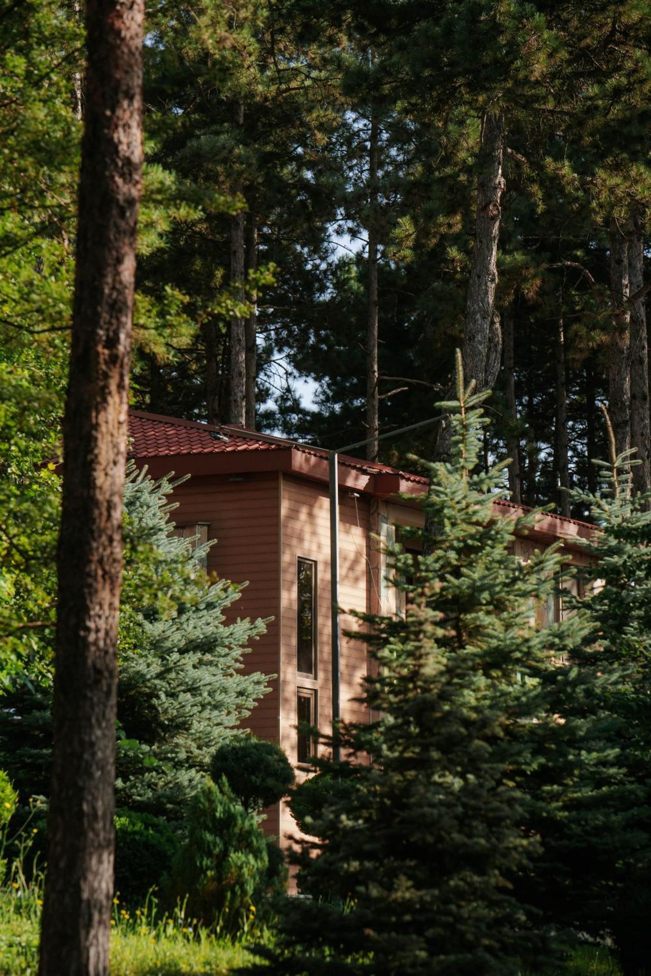 Zuzumbo Resort & Spa Telavi Exterior photo